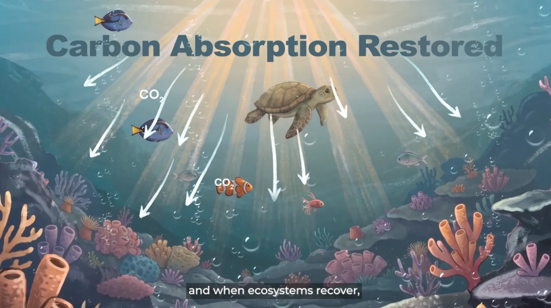 A finished explanatory frame from Let's Go GEO.